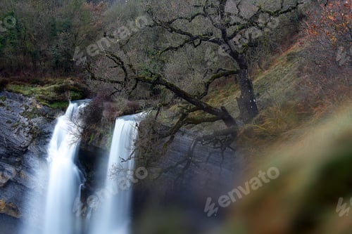 Preview: Autumn tree and waterfall