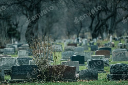 Preview: Back of Gravestones in a Old Cemetery in Autumn
