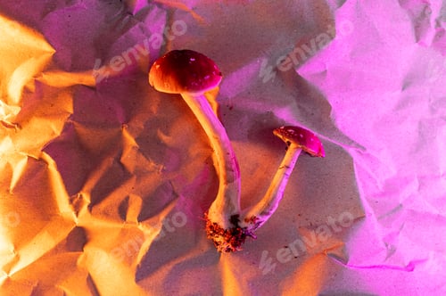 Preview: Psychedelics revolutionize medicine, Hallucinogenic Therapeutic Background