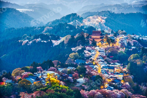 Preview: Yoshinoyama, Japan