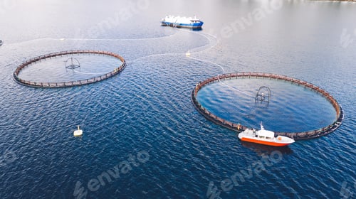 Preview: Aerial view of round mesh for growing and catching fish in arctic water surrounded by fjords