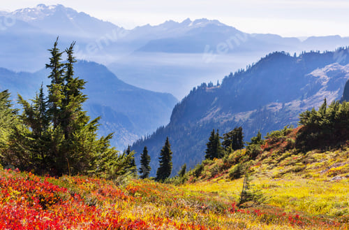 Preview: Autumn in mountains