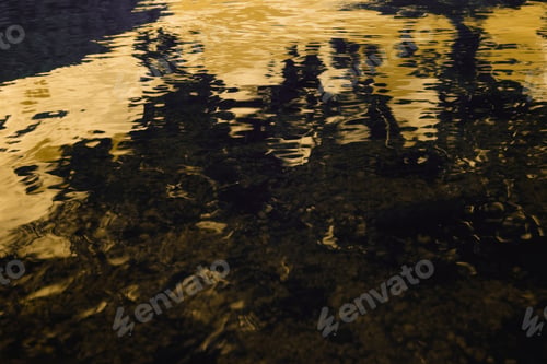 Preview: Grass on lake's shore