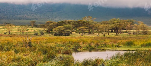 Preview: Lake in savanna