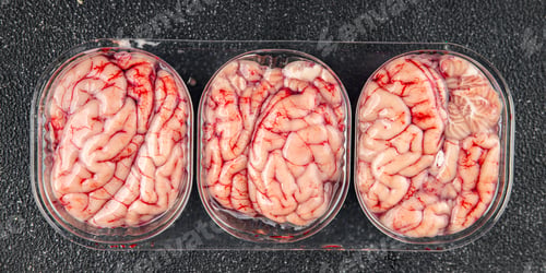 Preview: pork brains raw edible offal meat fresh food tasty fresh healthy eating cooking appetizer meal food