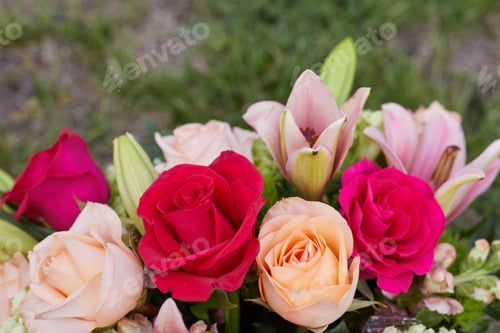 Preview: Close-up photo of beautiful fresh flowers at the Garden