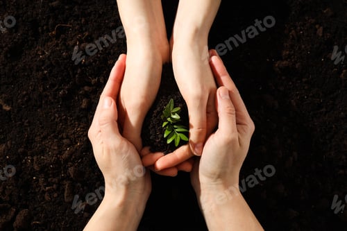 Preview: Earth Day, Environment concept and Eco concept