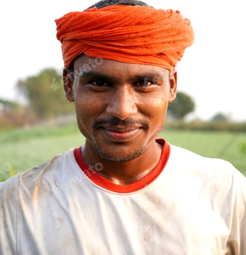 Preview: Indian farmer working in green chickpea garden