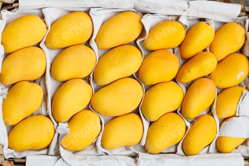 Preview: yellow