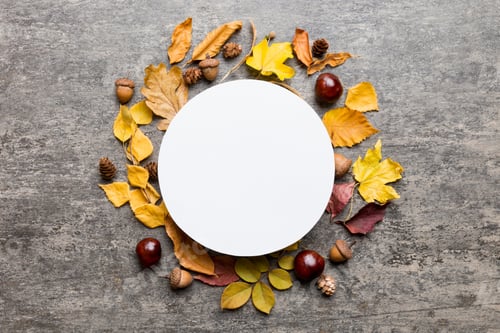 Preview: Autumn composition with round paper blank and dried leaves on table. Flat lay, top view, copy space