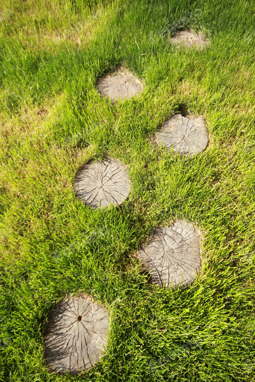 Preview: Tree stump on the green grass
