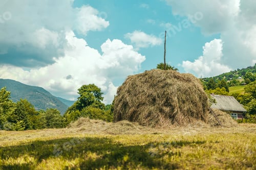 Preview: Beautiful rural landscape with a big pile of haystack in a field on a hot summer day.