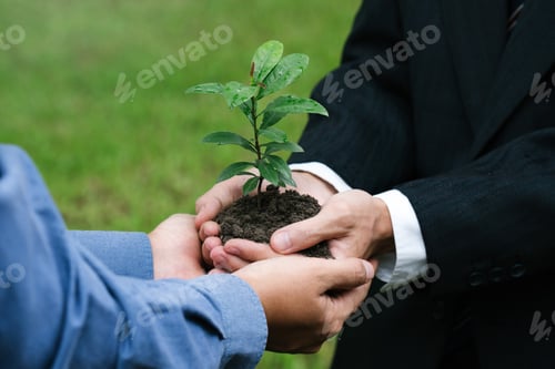 Preview: Businessman hands holding green plants together.Green business company. World environment day.