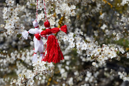 Preview: Bulgarian traditional spring decor martenitsa on the blossom tree. Baba Marta holiday.
