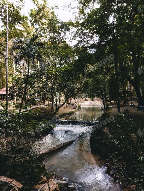 Visualização: Small stream mossy garden near the Kelam Cave in Perlis, Malaysia.