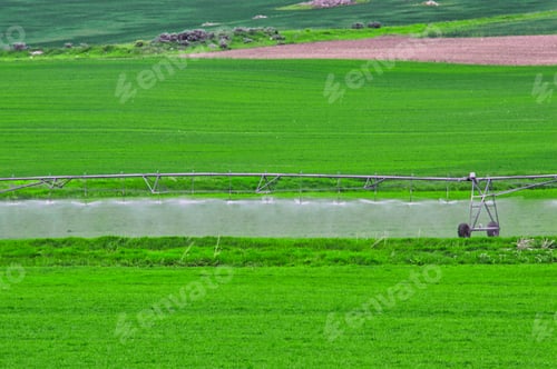 Preview: Garden automatic irrigation system on a green grass