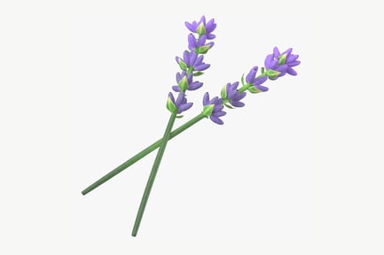 Preview: Lavender Sprigs Arrangement