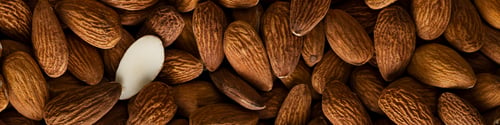 Preview: Banner 4x1 background of almond placer filling the entire frame