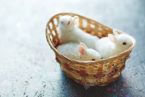 Preview: White and fluffy