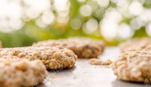Preview: Warm Oatmeal Cookies