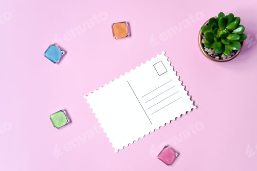 Preview: Blank postcard and small succulent plant on pink background, empty postcards, postcrossing.