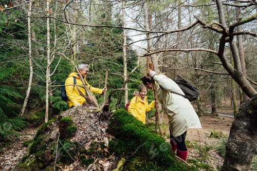 Preview: Friends exploring nature together during forest hiking. Trekking travel in adventure lifestyle