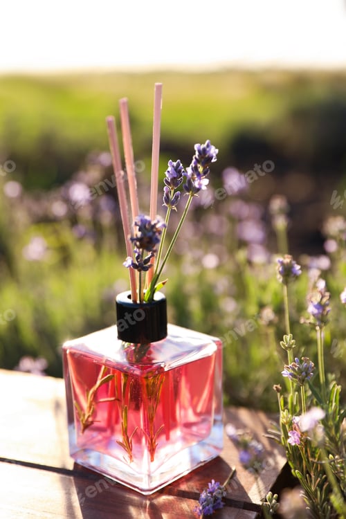 Preview: Reed air freshener on wooden table in blooming lavender field