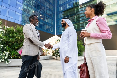 Preview: Group of multiethnic business people meeting an emirati businessman