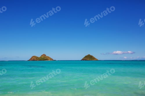 Preview: Oahu