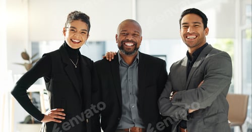 Preview: Business people, happy with diversity and face of team with smile, financial advisor group in the w
