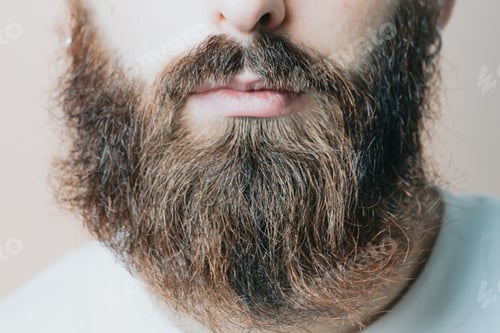 Preview: Handsome bearded man shaving his beard, Young caucasian bearded man trimming