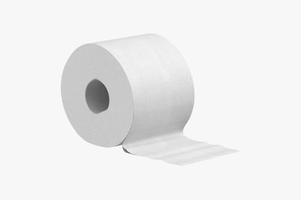 Preview: White Embossed Toilet Paper Roll