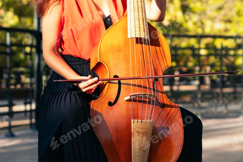 Preview: Cropped shot of an unrecognizable woman playing the cello outdoors