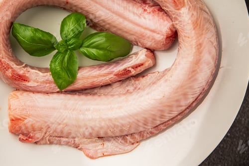 Preview: Raw rock eel fish rock salmon shark seafood small-spotted catshark tasty snack fresh food