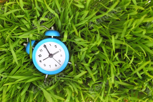 Preview: Blue alarm clock on green grass, conceptual.