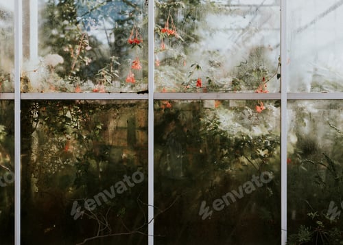 Preview: Green plants and trees in a green house