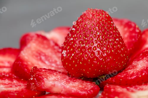 Preview: berry
