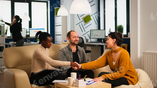 Preview: Consultant greeting diverse business clients with handshake