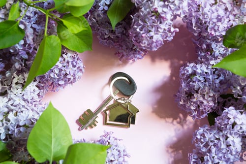 Preview: House key with keychain on pink spring background and lilac branches.