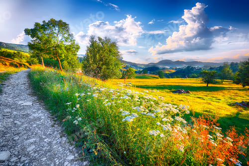 Preview: Majestic countryside landscape with forested hills and grassy meadows in mountains