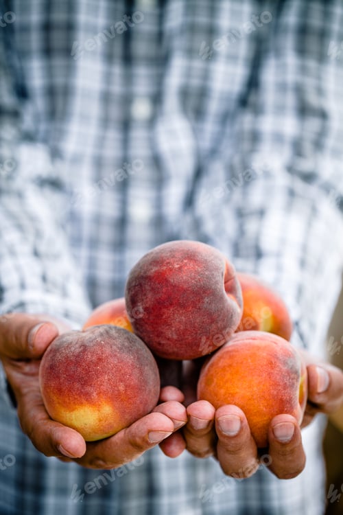Preview: Peaches