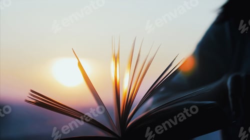 Preview: Beautiful open book with pages on sunset background. Education, reading concept