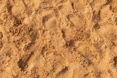 Preview: Sandy ground showcases a variety of footprints left by beachgoers