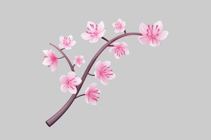 Preview: Digital illustration of a cherry blossom branch.
