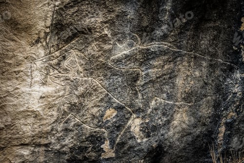 Preview: Fragment of petroglyph in Gobustan,