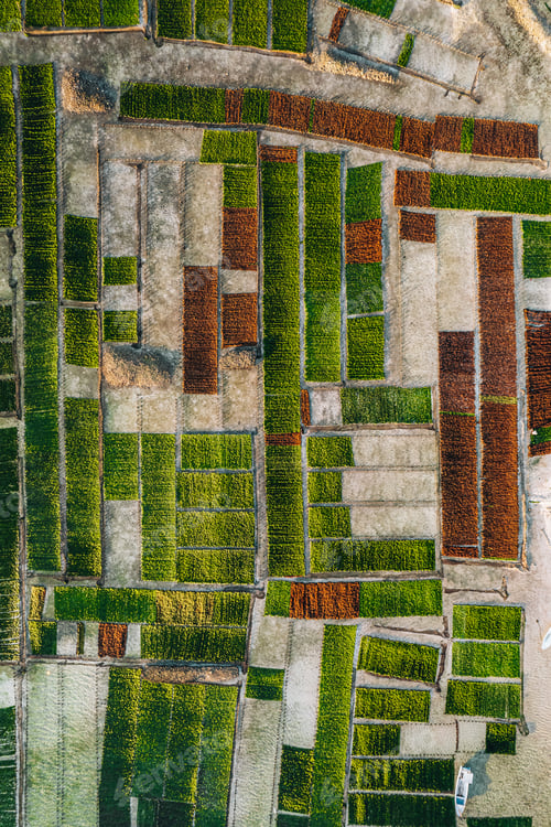 Preview: Aerial Drone Photo of Seaweed Farms in Nusa Lembongan Ceningan Bali Indonesia