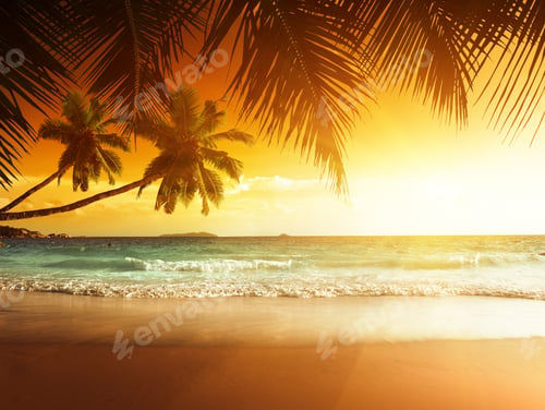 Preview: Sunset On The Beach Of Caribbean Sea