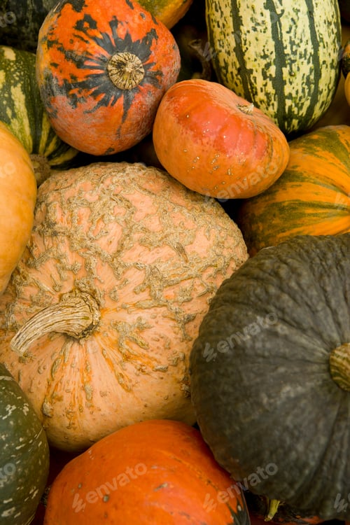 Preview: Close up of pile of gourds, full frame