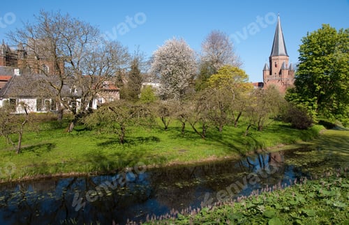 Preview: Beautiful scenery of a church with greenery in Zutphen, the Netherlands in the wintertime