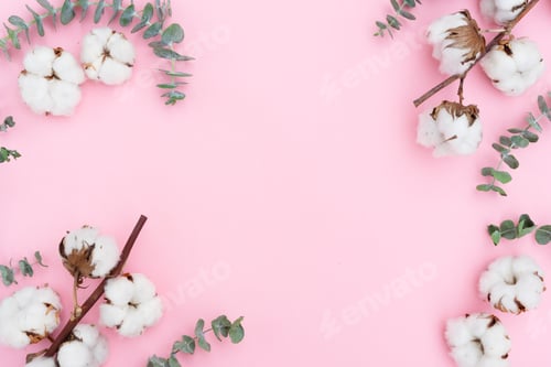 Preview: Cotton flowers with eucaliptus